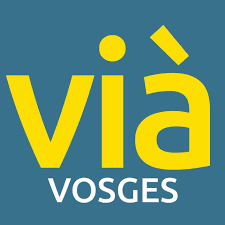 GROUPE GESTRA sur Vosges Télévision / ViàVosges